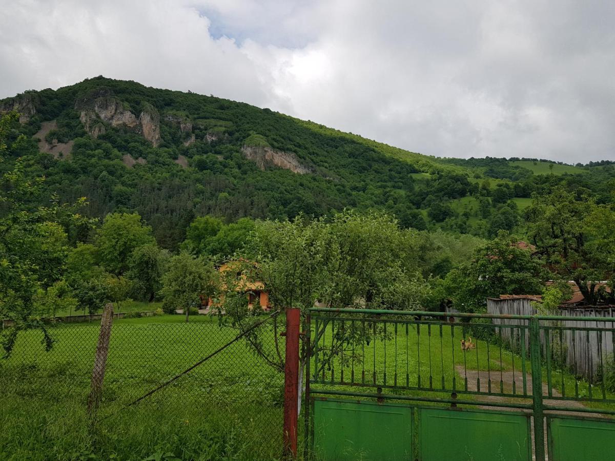 Мечтаната Селска Къща На Реката Със Семейство И Приятели! Ribarica Exteriér fotografie