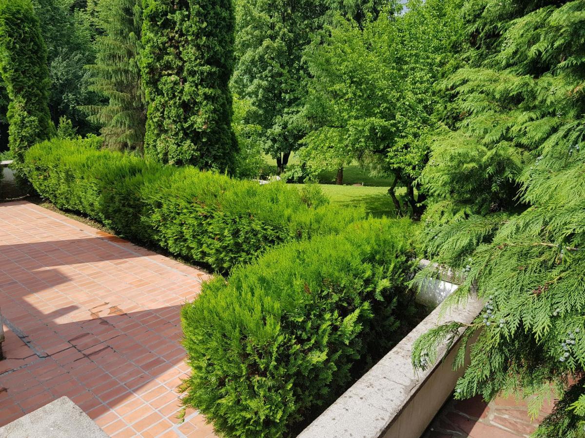 Мечтаната Селска Къща На Реката Със Семейство И Приятели! Ribarica Exteriér fotografie